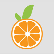 Froothie.nl Betrouwbaar Kosten 2025 1 by BestFREE.nl froothie.nl Logo